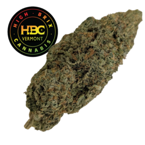 Cookie Monstah (I/D)