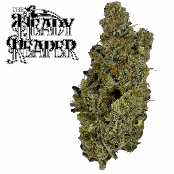 Girl Scout Cookies (Indica) Bulk Flower