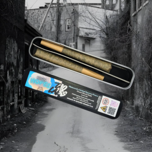 High Hopes .8g Infused Pre-Roll 2 pack