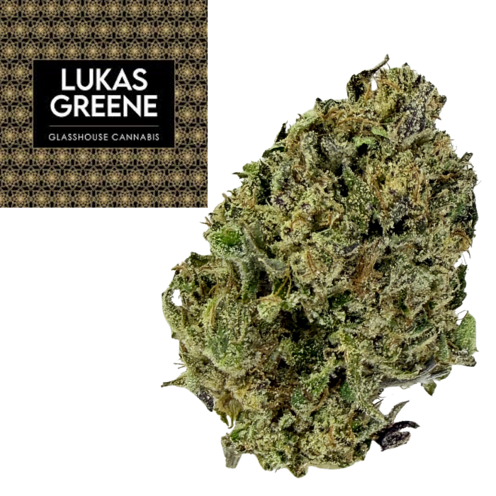Hindu Kush 100 Indica Landrace