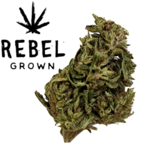 Island Mountain Headband (S/D)