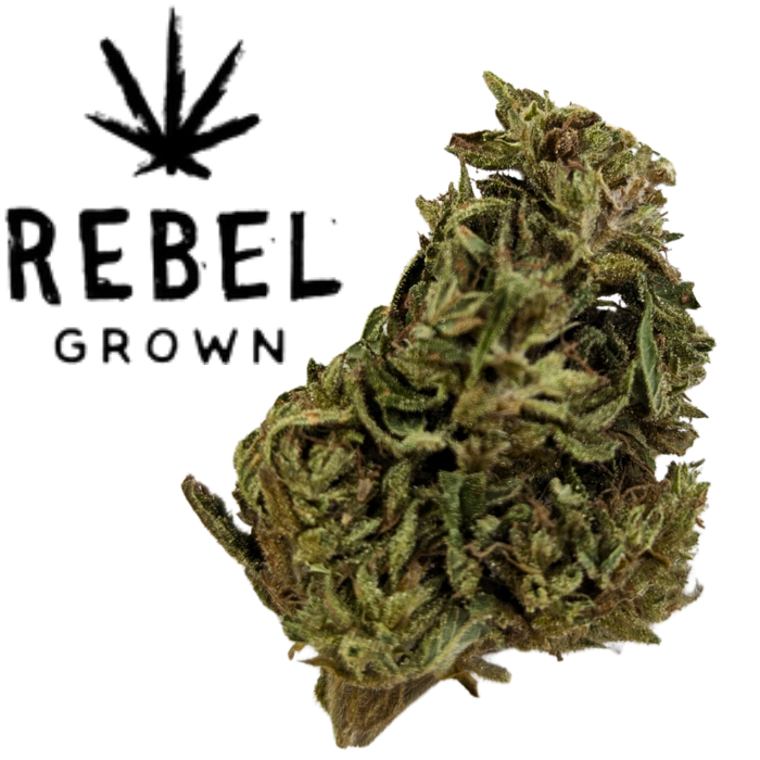 Island Mountain Headband Flower
