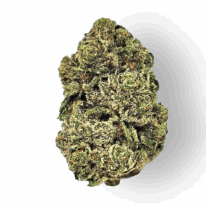 Joker’s Candy (Ind) Bulk Flower