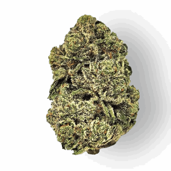 Joker’s Candy (Ind) Bulk Flower