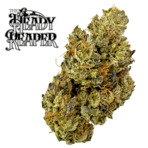 Kitchen Sink (Hyb) Bulk Flower