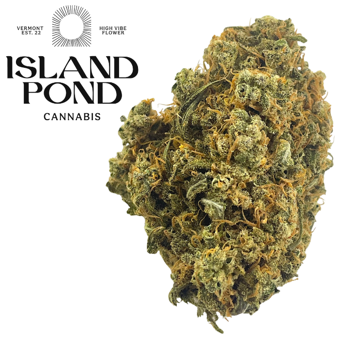 Lilac Diesel Sat dom Bulk Flower