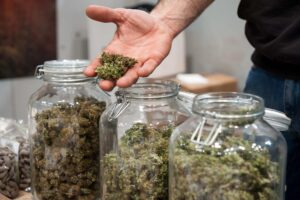 What Makes a Quality Cannabis Dispensary