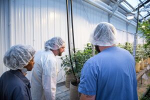 How Vermont Prevents Underage Cannabis Sales