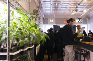 How a Vermont Dispensary Works