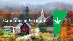 What You Can and Can't Do With Cannabis in Vermont