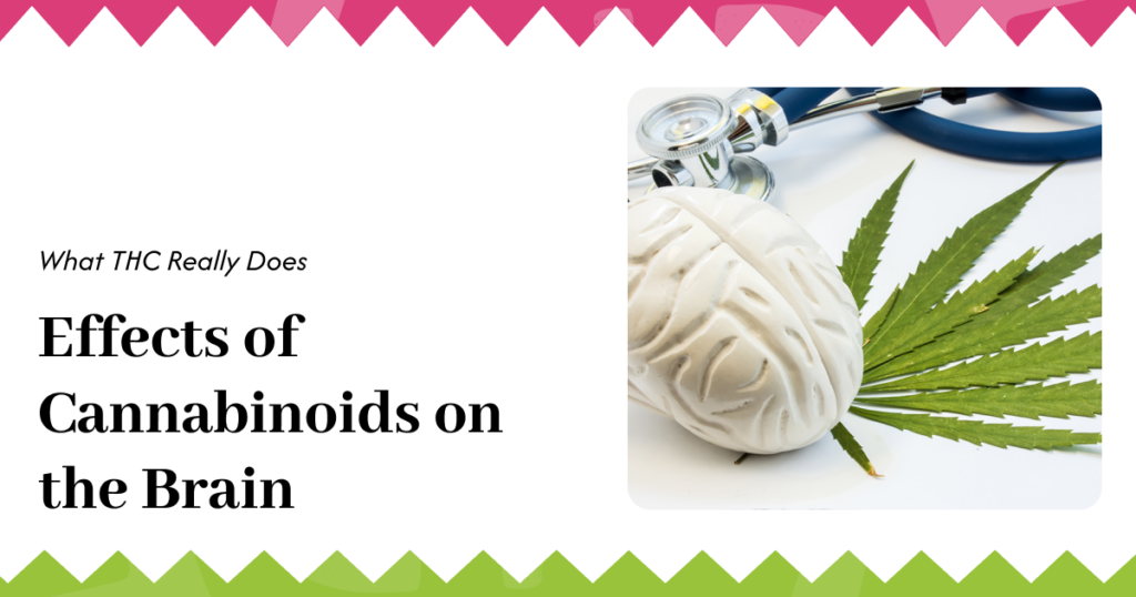 Effects of Cannabinoids on the Brain