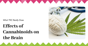 Effects of Cannabinoids on the Brain