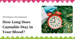 How Long Does Cannabis Stay in Your Blood?