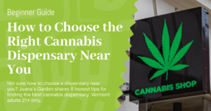 How to Choose the Right Cannabis Dispensary Near You