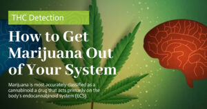 How to Get Marijuana Out of Your System