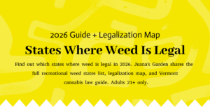 States Where Weed Is Legal