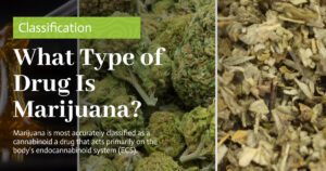 What Type of Drug Is Marijuana