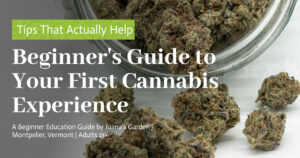 Education 9 Beginner's Guide to Your First Cannabis Experience
