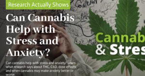 Education 16 Can Cannabis Help with Stress and Anxiety