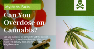 Education 22 Can You Overdose on Cannabis