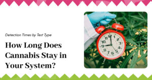 Education 15 How Long Does Cannabis Stay in Your System