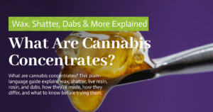 Education 12 What Are Cannabis Concentrates