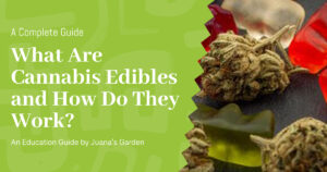 Education 10 What Are Cannabis Edibles and How Do They Work