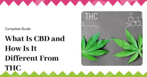 Education 23 What Is CBD and How Is It Different From THC 2