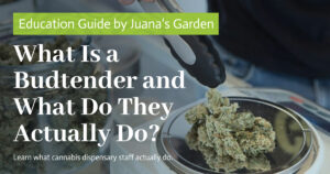What Is a Budtender and What Do They Actually Do