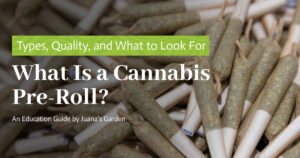 Education 11 What Is a Cannabis Pre-Roll