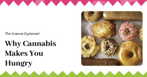 Education 26 Why Cannabis Makes You Hungry