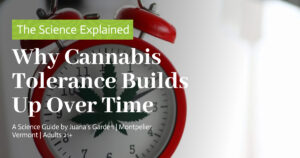 Education 5 Why Cannabis Tolerance Builds Up Over Time