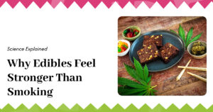 Education 18 Why Edibles Feel Stronger Than Smoking