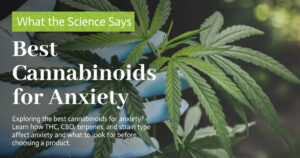 Education 30 best cannabinoids for anxiety