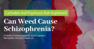 Education 5 Can Weed Cause Schizophrenia