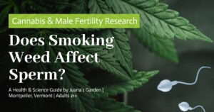 Education 13 Does Smoking Weed Affect Sperm