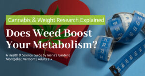 Does Weed Boost Your Metabolism