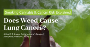Does Weed Cause Lung Cancer