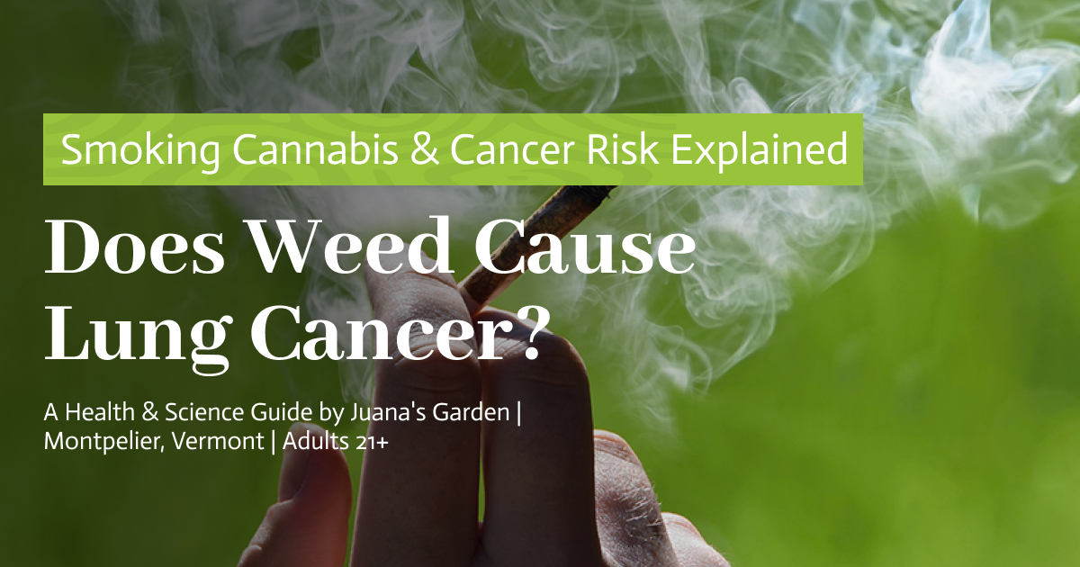 Does Weed Cause Lung Cancer
