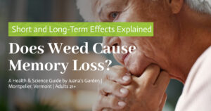 Education 6 Does Weed Cause Memory Loss