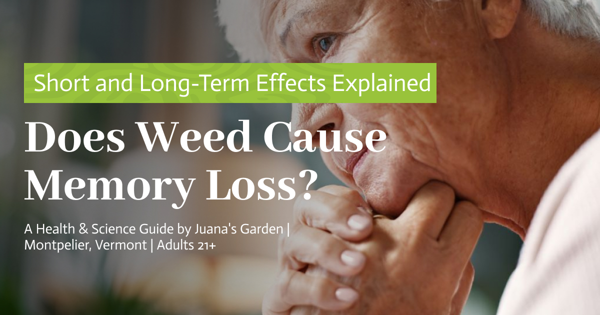 Does Weed Cause Memory Loss