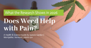 Education 8 Does Weed Help with Pain