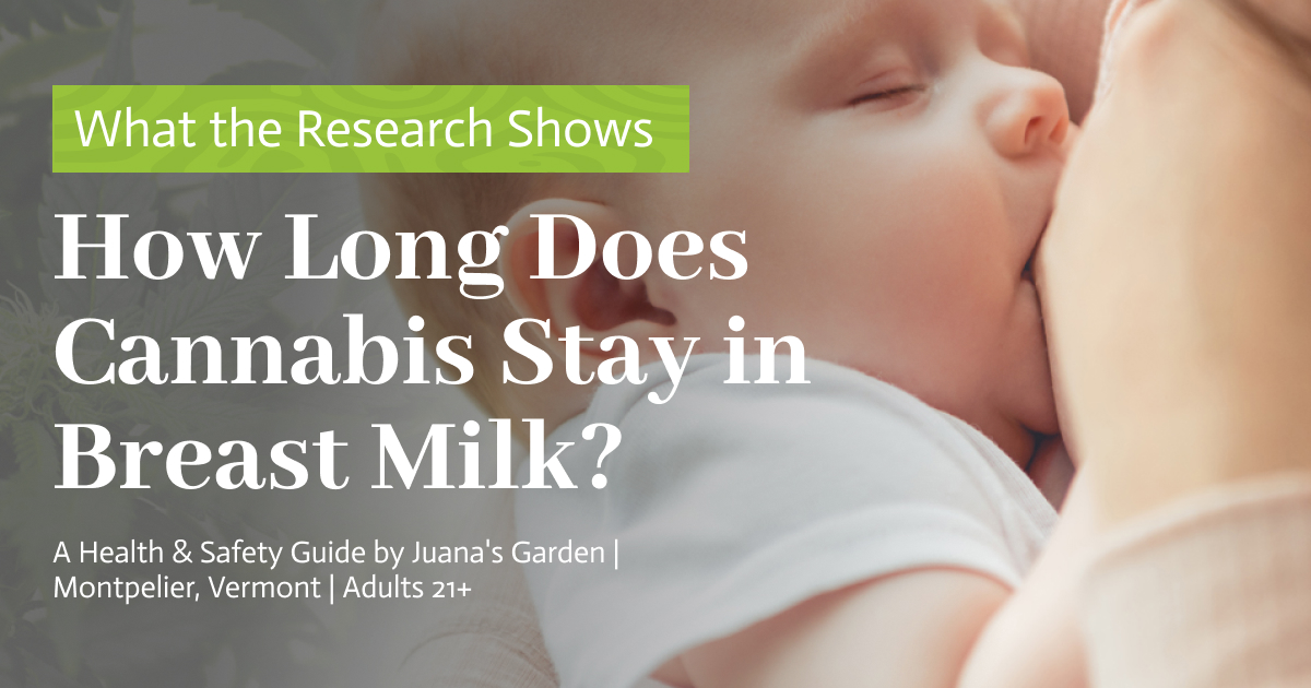How Long Does Cannabis Stay in Breast Milk
