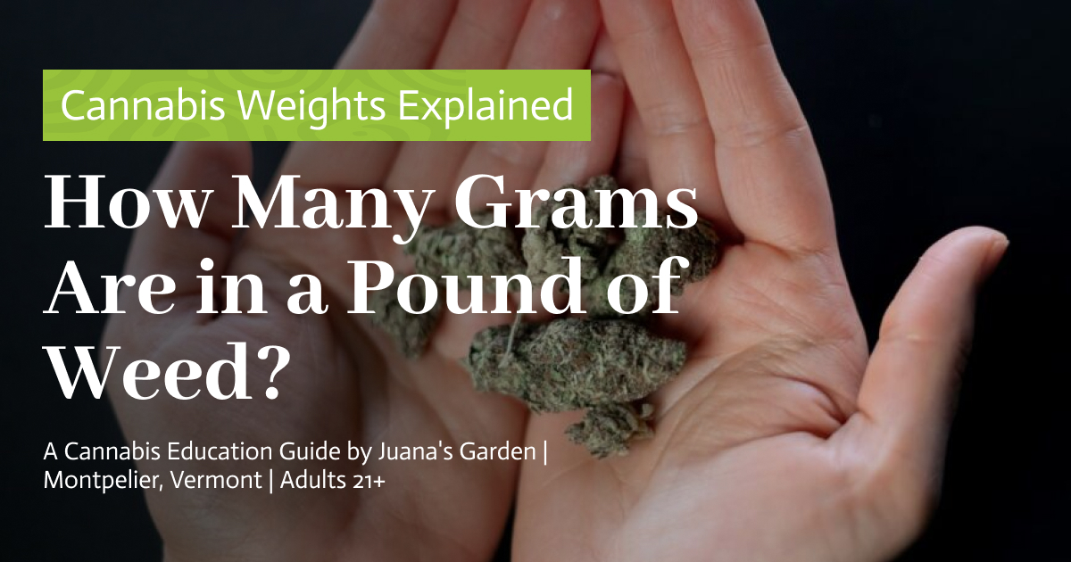 How Many Grams Are in a Pound of Weed