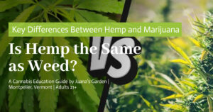Is Hemp the Same as Weed