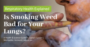 Education 14 Is Smoking Weed Bad for Your Lungs