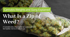What Is a Zip of Weed