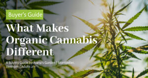 Education 29 What Makes Organic Cannabis Different