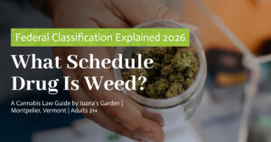 Education 9 What Schedule Drug Is Weed