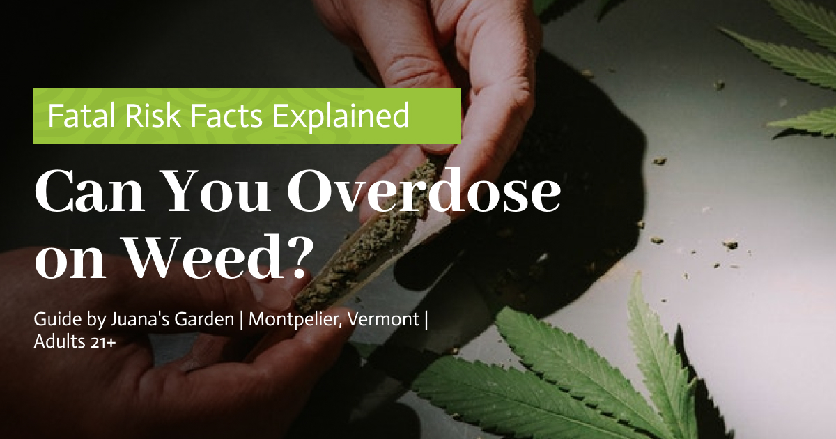 Can You Overdose on Weed